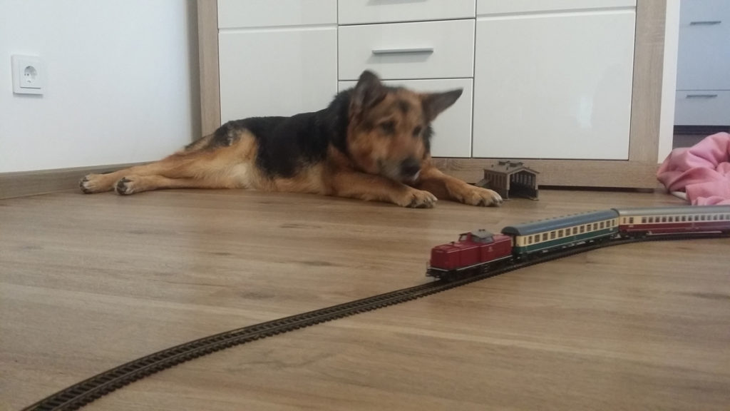 Tut tut tut, die Eisenbahn_2